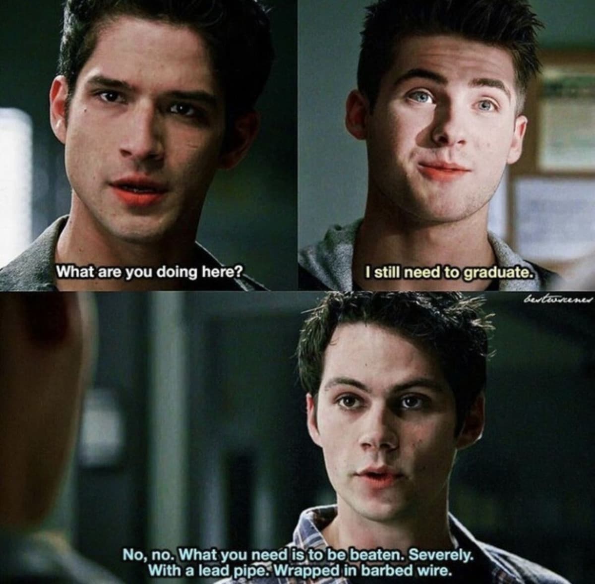 Chi non adora Stiles? 