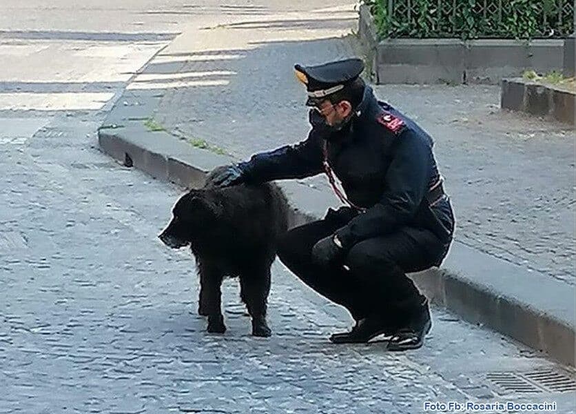 10 punti a chi riconosce questo personaggio(il cane).