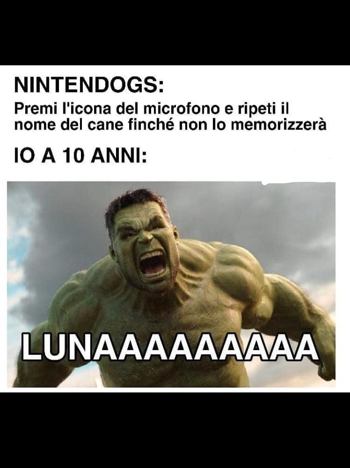 Il cane era sordo