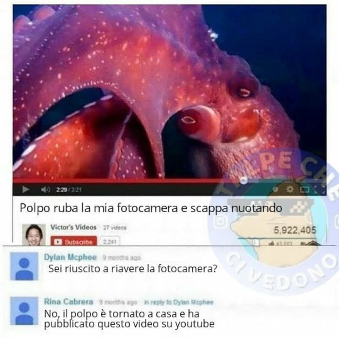 Ah, hai capito il polpo ?