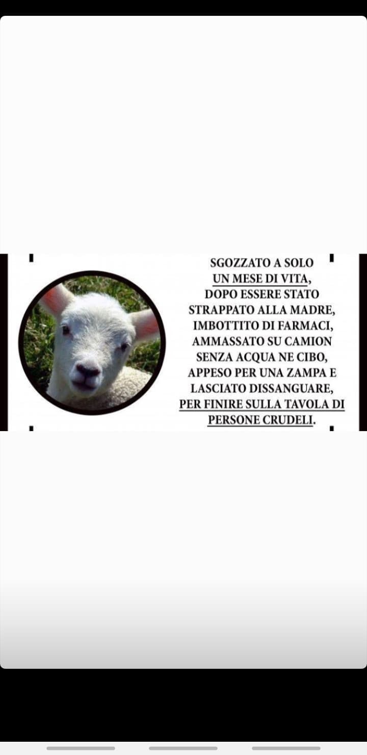 "in Italia non torturano gli animali"