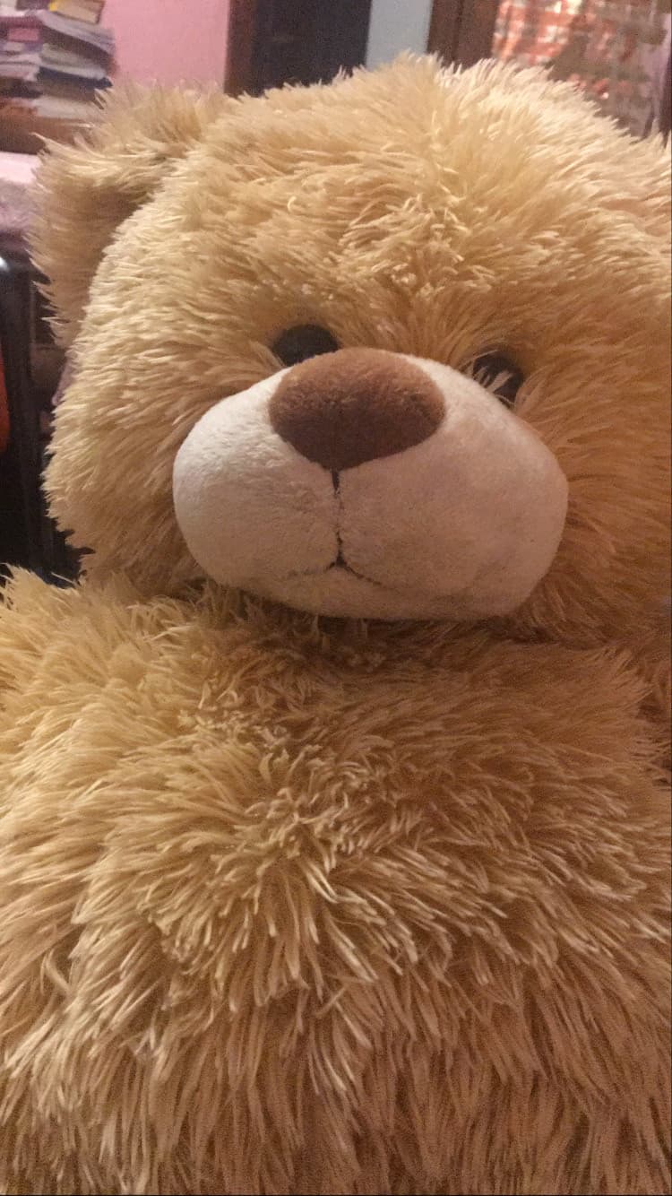 Io e peluche domineremo insegreto DITE CIAO AI VOSTRI NUOVI PRINCIPESSA E PRINCIPE