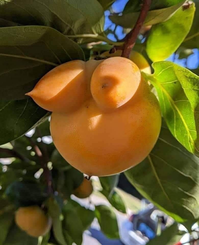 La frutta può essere sexy 