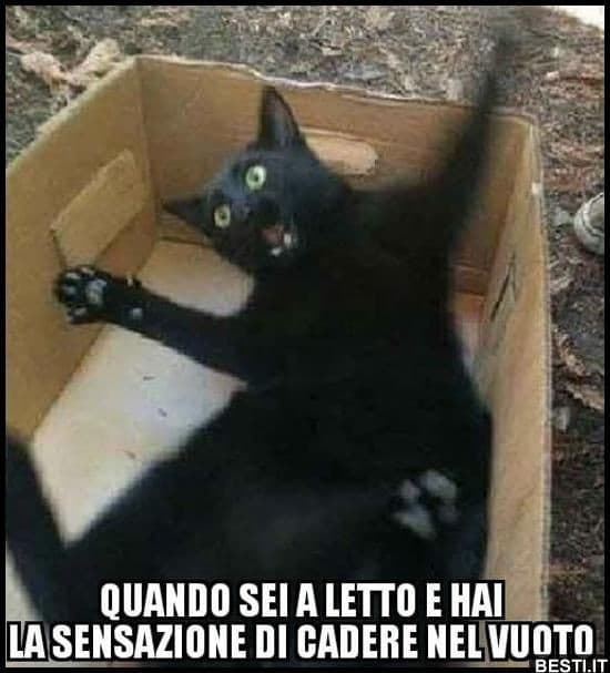 In poche parole :io