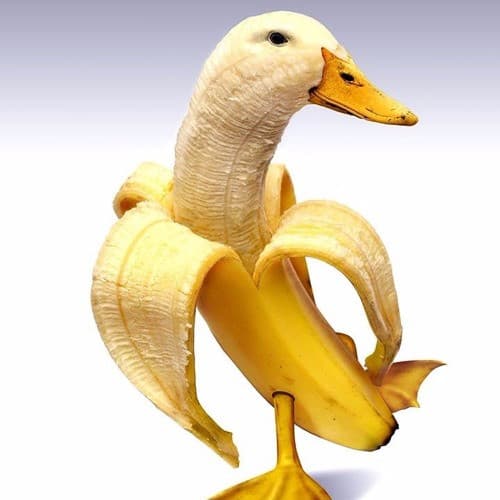 Vi piace la banana duck??