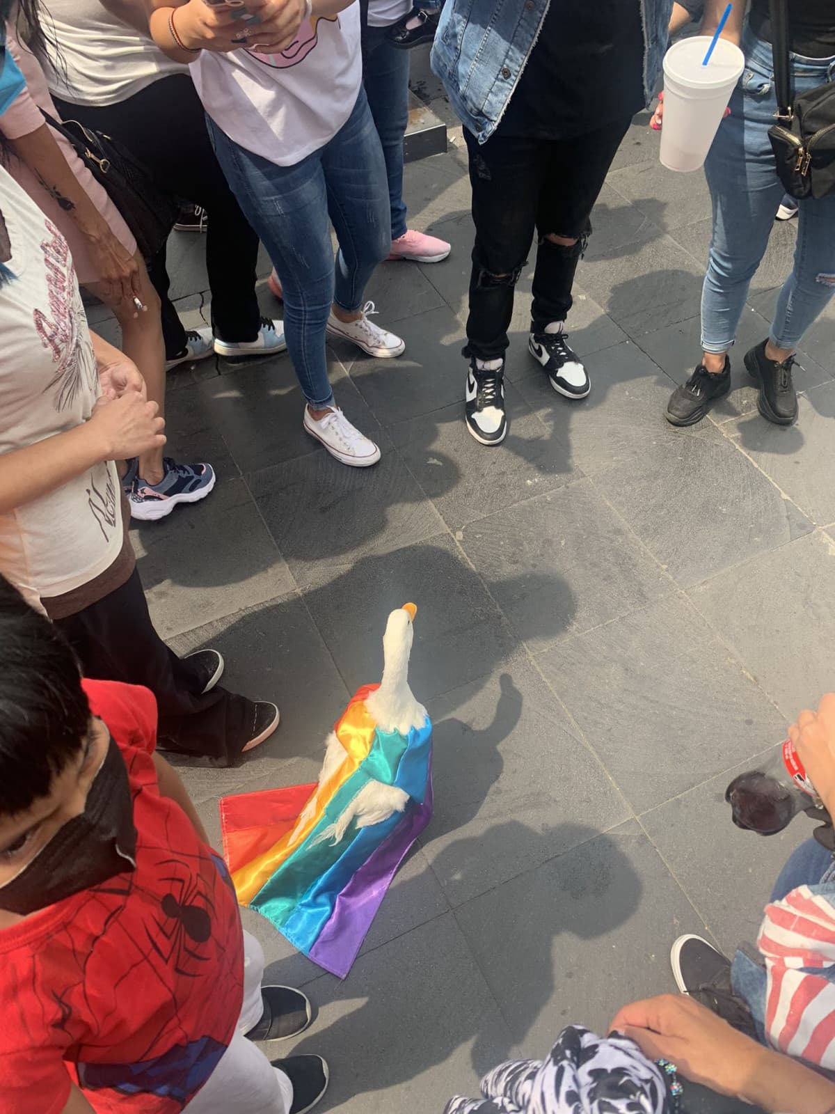 HAPPY PRIDE QUESTA NON HA BISOGNO DI ALTRO PERCHÉ È PERFEFTA COSI ?️‍??❤