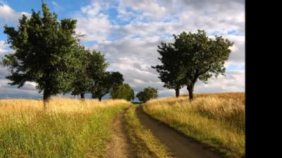 Meditate insieme a me, uniamoci con la natura ??⭐️??