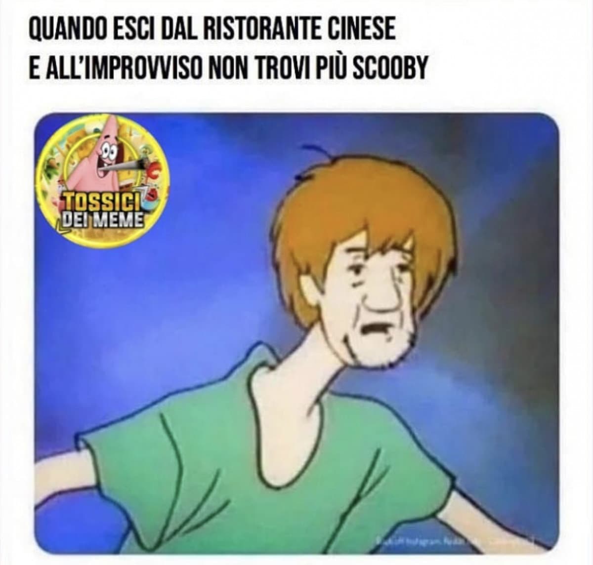 Povero scooby....?