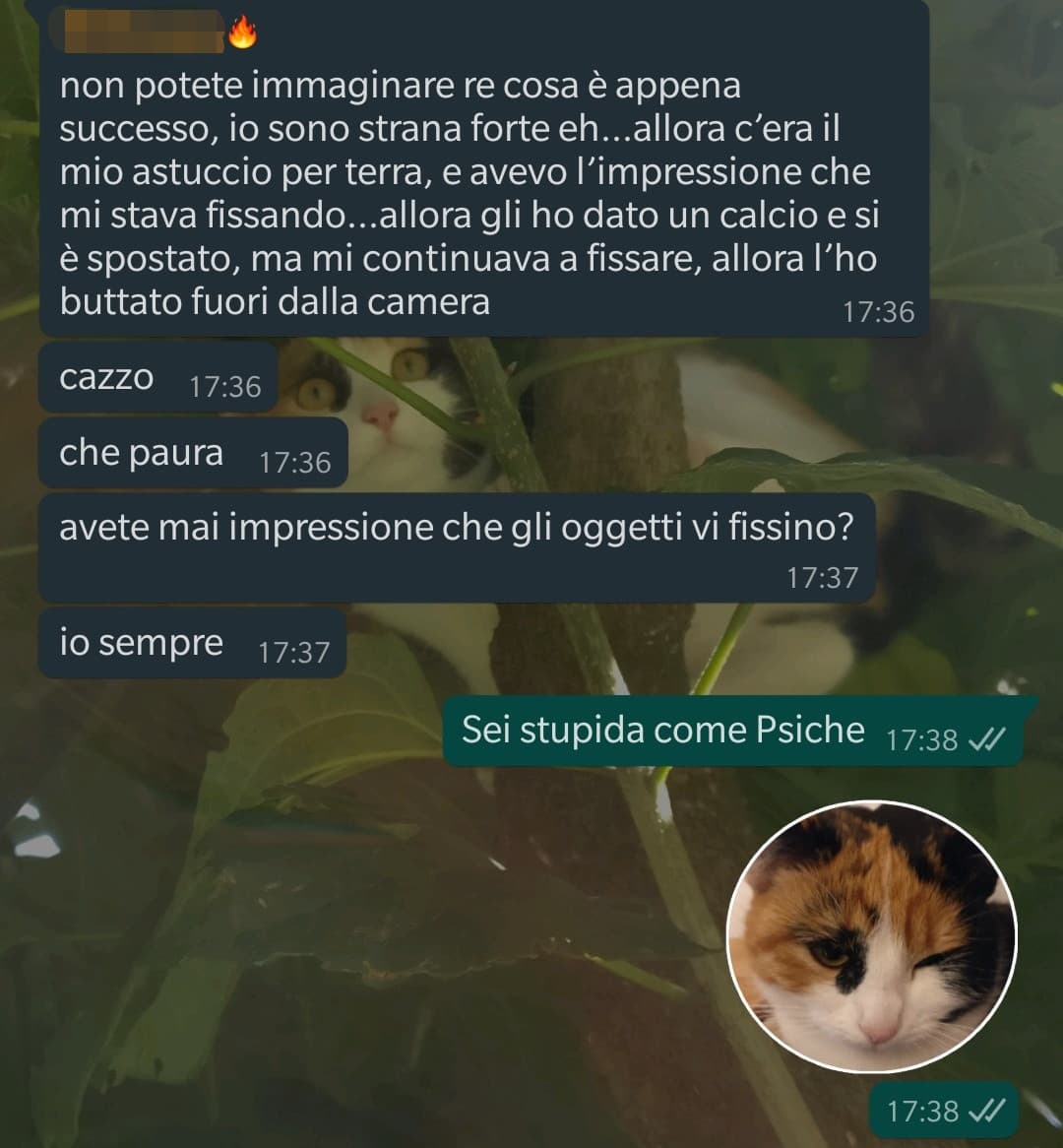 Comunque insegreto mi va male questi giorni ☹️