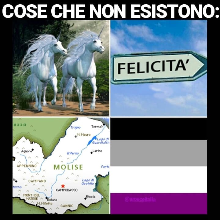 Ovviamente è ironica, il Molise esiste