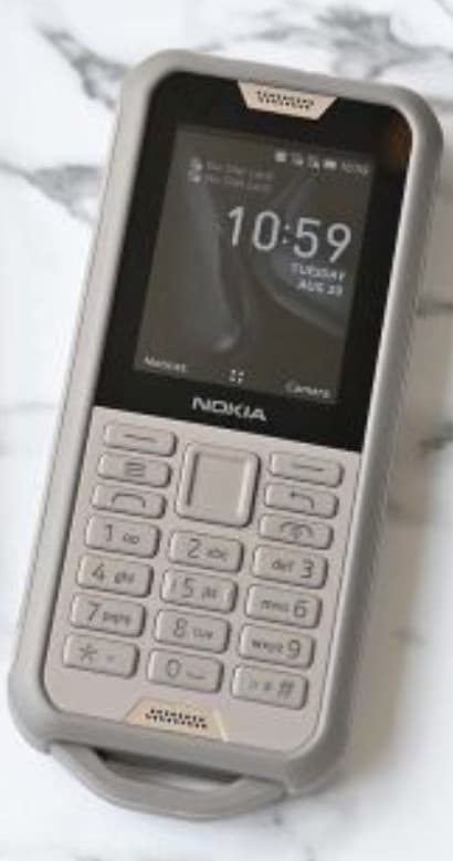 Vi ricordate del Nokia 3310?