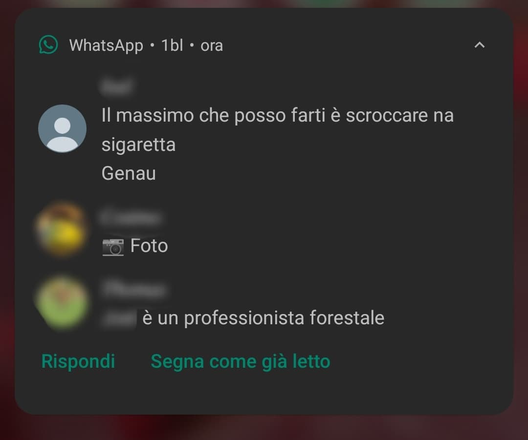 la voglia di abbandonare questo fottuto gruppo classe 