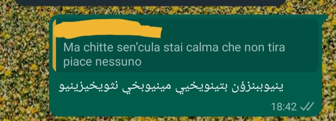 Se qualcuno qui sa l'arabo, mi sa dite che cosa ho scritto? 