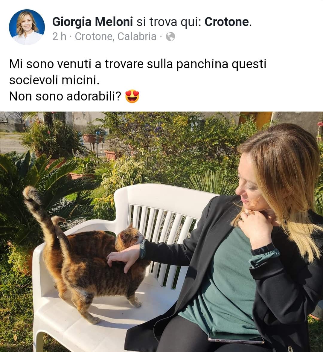 Ora abbiamo scoperta che è anche una gattara